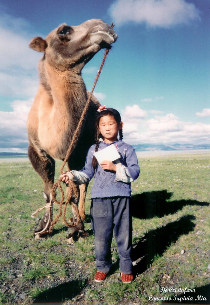 Nel deserto del Gobi